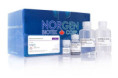 67600 Adenovirus Purification Kit ( 15 preps )